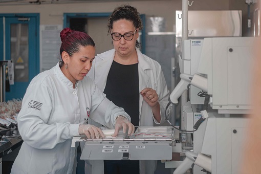 No momento, você está visualizando Hemoam adota tecnologia que reduz riscos de complicações pós-transfusão de sangue
