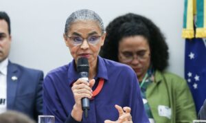 Leia mais sobre o artigo Marina Silva diz que parecer do Ibama sobre Foz do Amazonas é técnico