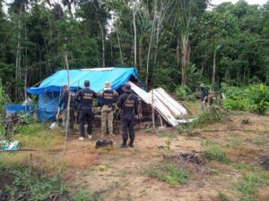 Leia mais sobre o artigo PF realiza operação no Pico da Neblina, no Amazonas