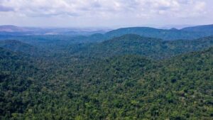 Leia mais sobre o artigo Helicóptero com três a bordo desaparece na Floresta Amazônica