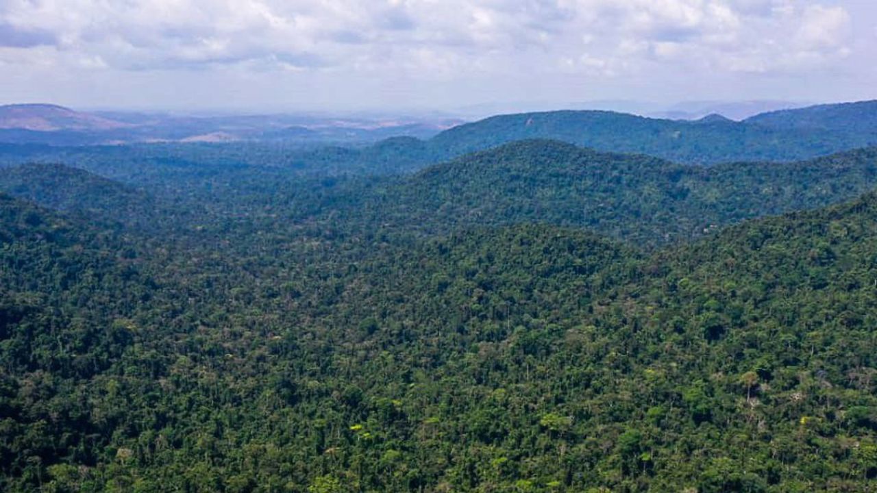 No momento, você está visualizando Helicóptero com três a bordo desaparece na Floresta Amazônica