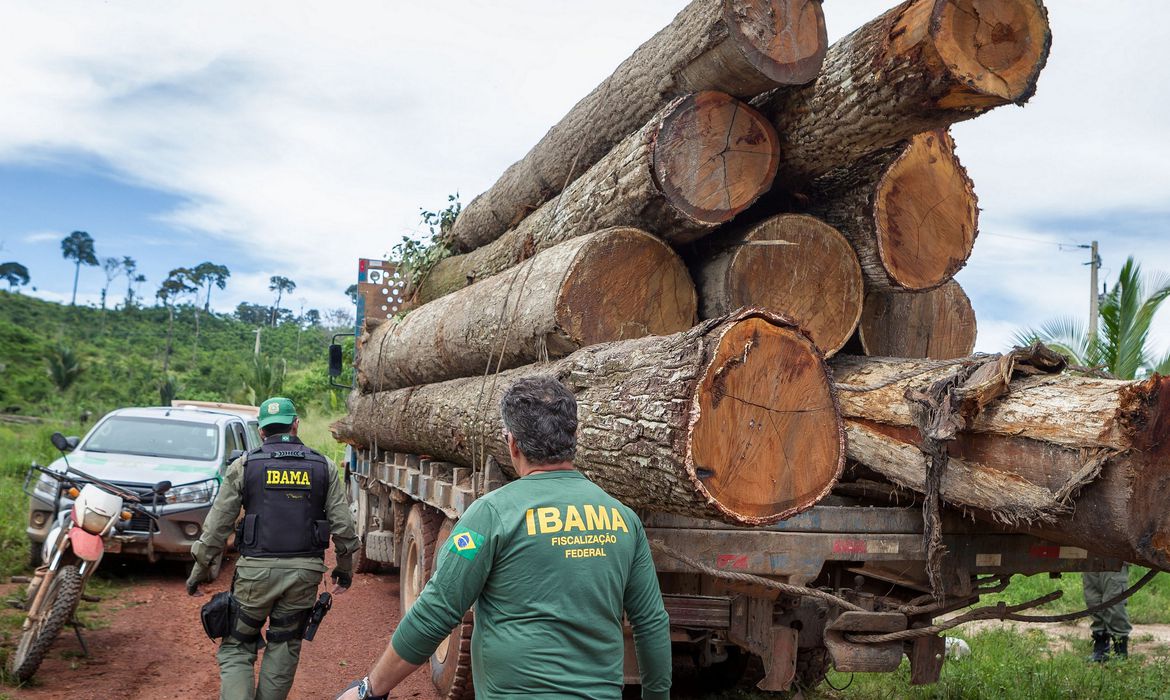 No momento, você está visualizando Governo autoriza contratação de 257 servidores para o Ibama