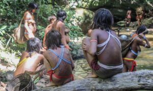 Leia mais sobre o artigo Curtas-metragens exibidos por yanomami serão mostrados em Veneza