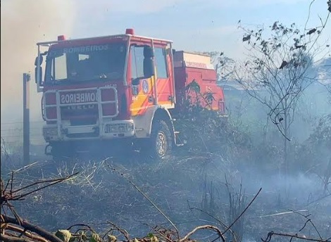 No momento, você está visualizando Aceiro 2023: operação teve 224 incêndios combatidos no sul do Amazonas