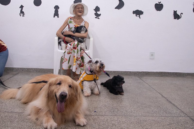 No momento, você está visualizando Prefeitura de Manaus retoma o projeto ‘Terapia Assistida por Animais’ para idosos da Fundação Doutor Thomas