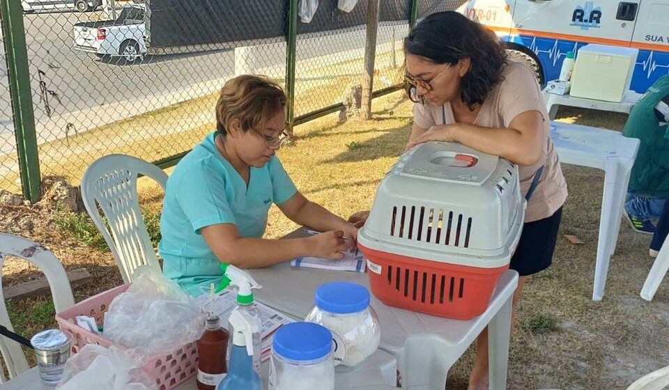No momento, você está visualizando Em Manaus, bairro do São José recebe ação pet neste sábado (30)