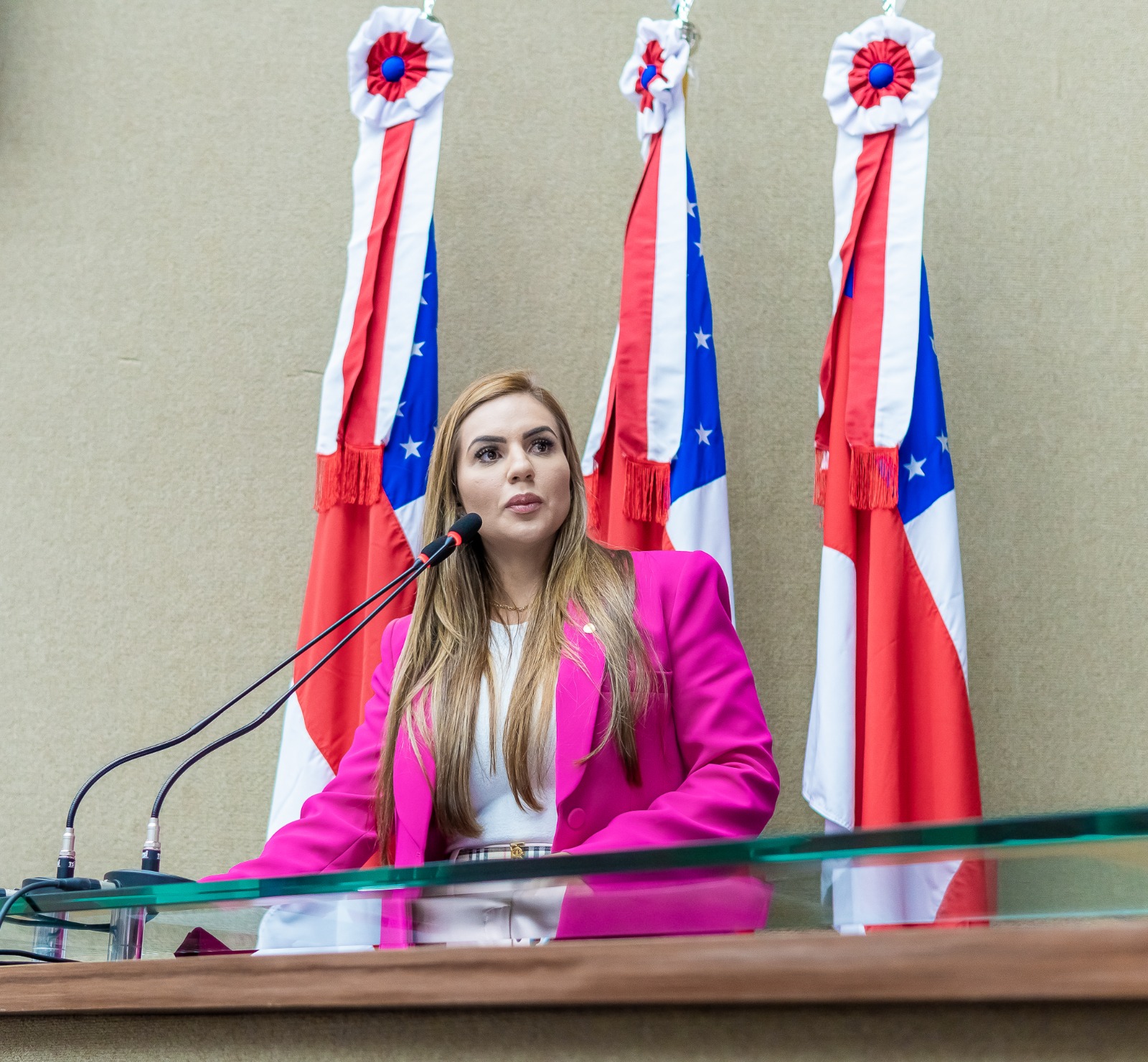 No momento, você está visualizando Mãe da deputada bolsonarista Débora Menezes é exonerada da Assembleia Legislativa do Amazonas