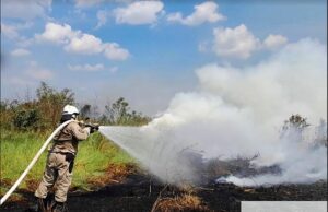 Leia mais sobre o artigo Corpo de Bombeiros combateu mais de 200 incêndios em agosto em Manaus
