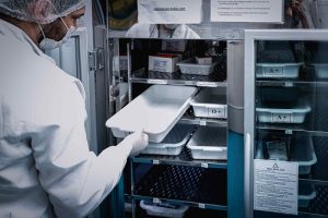 Leia mais sobre o artigo Hemoam alerta para estoque baixo de sangue durante feriado