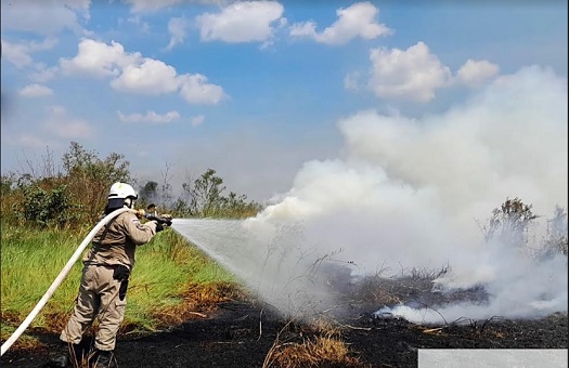 No momento, você está visualizando Corpo de Bombeiros combateu mais de 200 incêndios em agosto em Manaus