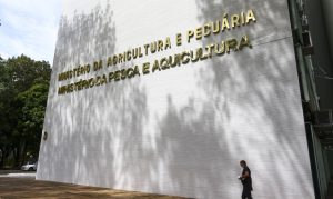 Leia mais sobre o artigo Oito lotes de café são apreendidos com presença de impurezas