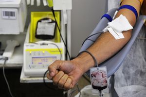 Leia mais sobre o artigo No Amazonas, deputada propõe troca de ingressos por doações de sangue