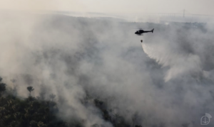 Leia mais sobre o artigo No Amazonas, Marinha do Brasil usa helicópteros para combater queimadas em Iranduba
