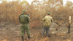 Leia mais sobre o artigo Ipaam realiza operações simultâneas para combater queimadas em 6 municípios do Amazonas