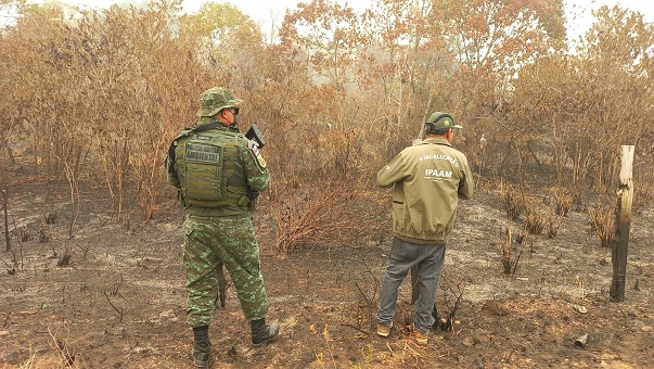 No momento, você está visualizando Ipaam realiza operações simultâneas para combater queimadas em 6 municípios do Amazonas