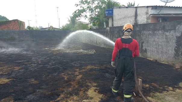 No momento, você está visualizando Dois homens são presos suspeitos de desmatamento ilegal e incêndio no Amazonas