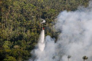 Leia mais sobre o artigo Amazonas fecha mês de setembro com redução de 20,3% dos focos de calor