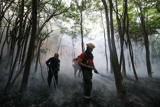 No momento, você está visualizando Governo contrata brigadistas para reforçar combate às queimadas no Amazonas