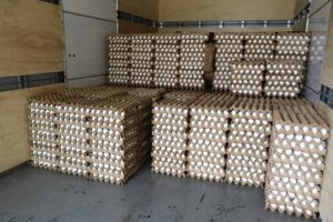 Leia mais sobre o artigo Carga irregular de ovos é apreendida no Amazonas