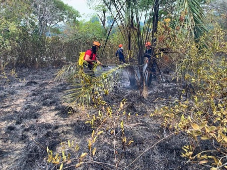 No momento, você está visualizando Corpo de Bombeiros combate incêndio em área de difícil acesso em Parintins