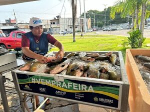 Leia mais sobre o artigo Feirão do Pescado 2024 comercializou 117 toneladas de peixes