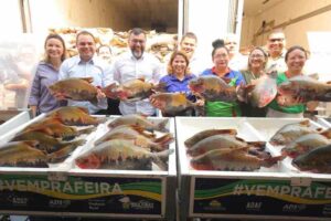 Leia mais sobre o artigo Wilson Lima anuncia doação de mais de 360 toneladas de peixe na Semana Santa