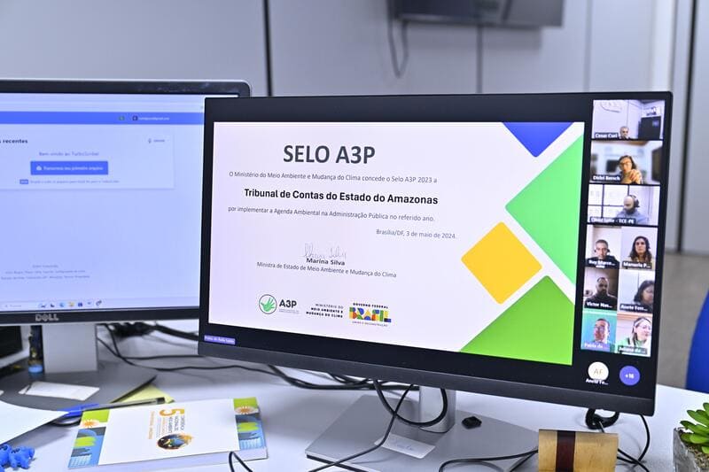 No momento, você está visualizando TCE-AM marca presença em reunião virtual do Comitê de Sustentabilidade do IRB e Ministério do Meio Ambiente