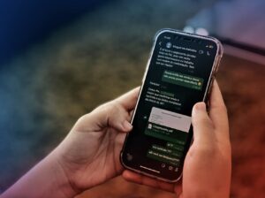 Leia mais sobre o artigo Festival de Parintins 2025: Polícia Civil alerta brincantes sobre golpes da falsa hospedagem