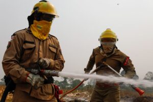 Leia mais sobre o artigo Amazonas registra queda de quase 67% nos focos de calor no primeiro semestre de 2025