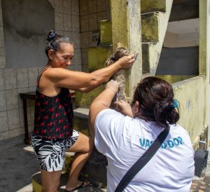 Leia mais sobre o artigo Prefeitura seleciona profissionais para atuar na Campanha de Vacinação Antirrábica Animal 2025