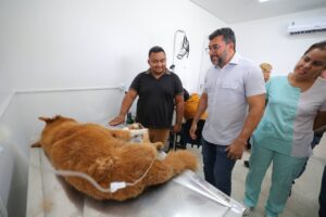 Leia mais sobre o artigo Wilson Lima destaca mais de 3 mil procedimentos na primeira semana do Hospital Público Veterinário do Amazonas