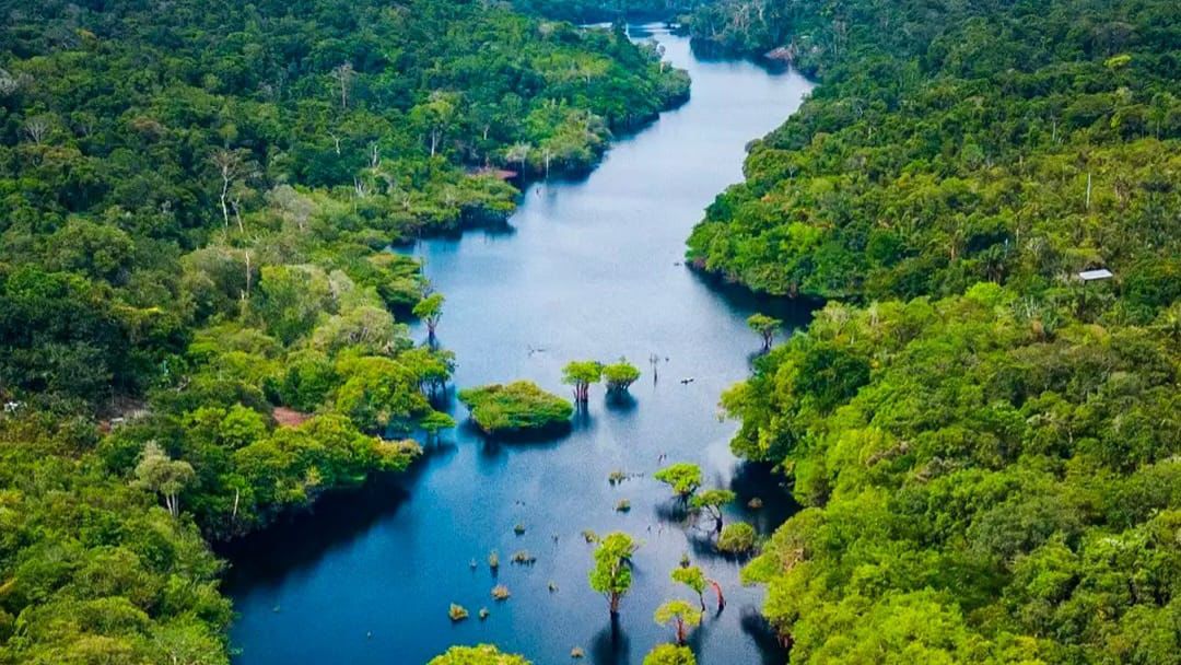 No momento, você está visualizando Amazonas registra menor número de focos de calor para setembro desde 2002, aponta Inpe