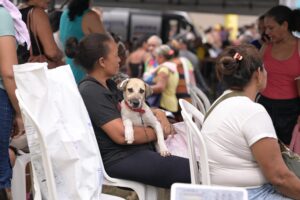 Leia mais sobre o artigo Sepet abre agendamento nesta quinta-feira para castração de cães e gatos no bairro Alvorada 2