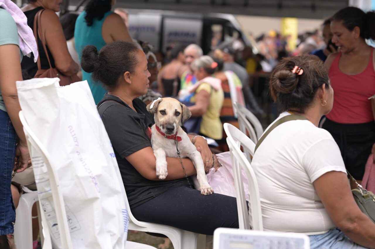 No momento, você está visualizando Sepet abre agendamento nesta quinta-feira para castração de cães e gatos no bairro Alvorada 2